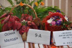 �������� ������� ������ ������ �����糿�