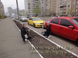 ����� �������� - ����� ������� 2014�