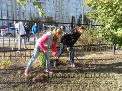 �������� 04.10.2014