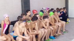 �������� � �������� ��������� ����糿 �ĳ����-2019�