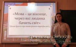 ̳��������� ���� ���� ���� 2019