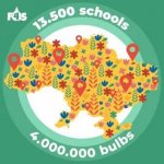 ������� ���� ��� �����. ���������� ����� FLOWERS4SCHOOL.