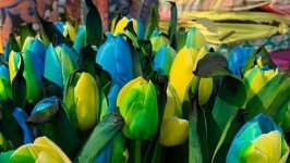 ������� ���� ��� �����. ���������� ����� FLOWERS4SCHOOL.