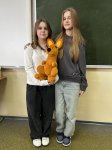 ���� ���� �ĳ���� � �������� ̳���������� ������������� �������� ��������-2025�