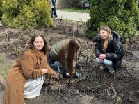 ������� ������ 20.04.2026